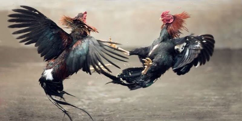 Tóm tắt